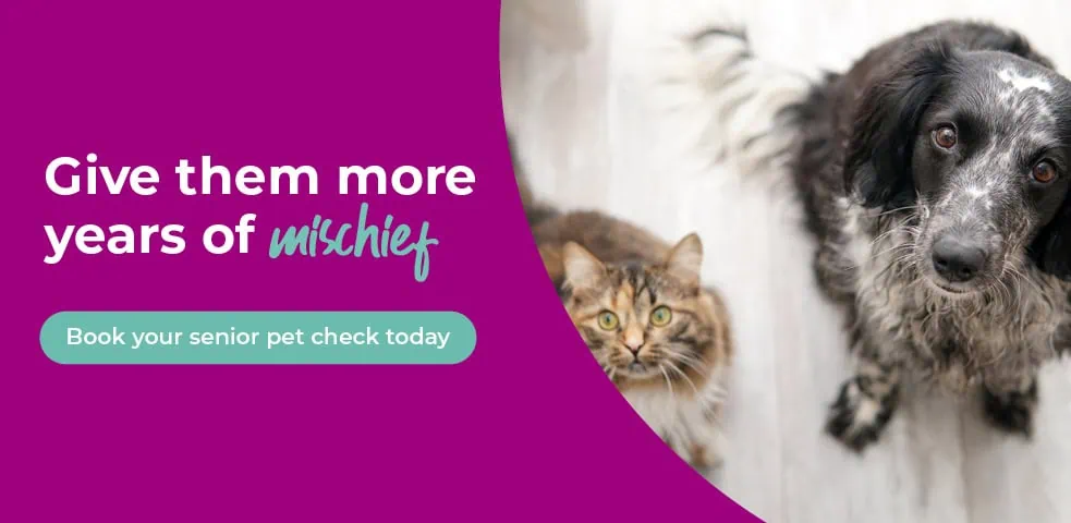 Contact Folly Gardens Vets