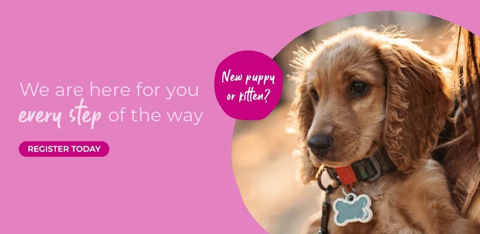 Contact Folly Gardens Vets